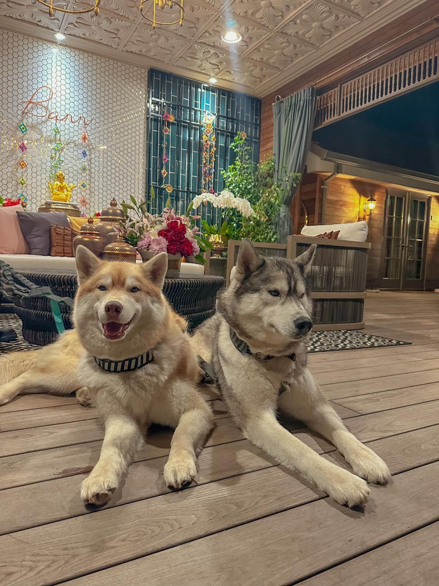 Bann At Oak Knoll Napa Bed & Breakfast ภายนอก รูปภาพ