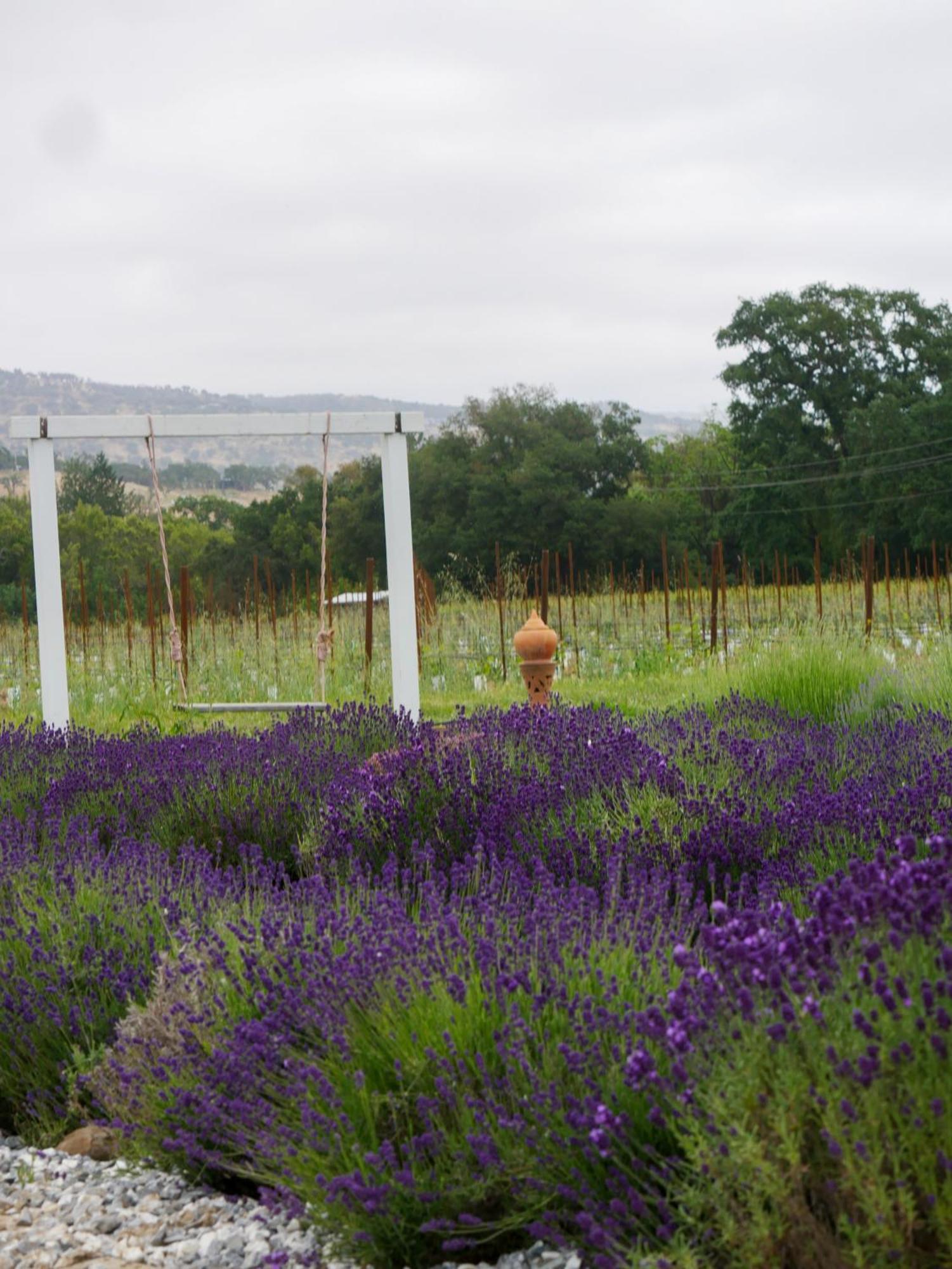 Bann At Oak Knoll Napa Bed & Breakfast ภายนอก รูปภาพ
