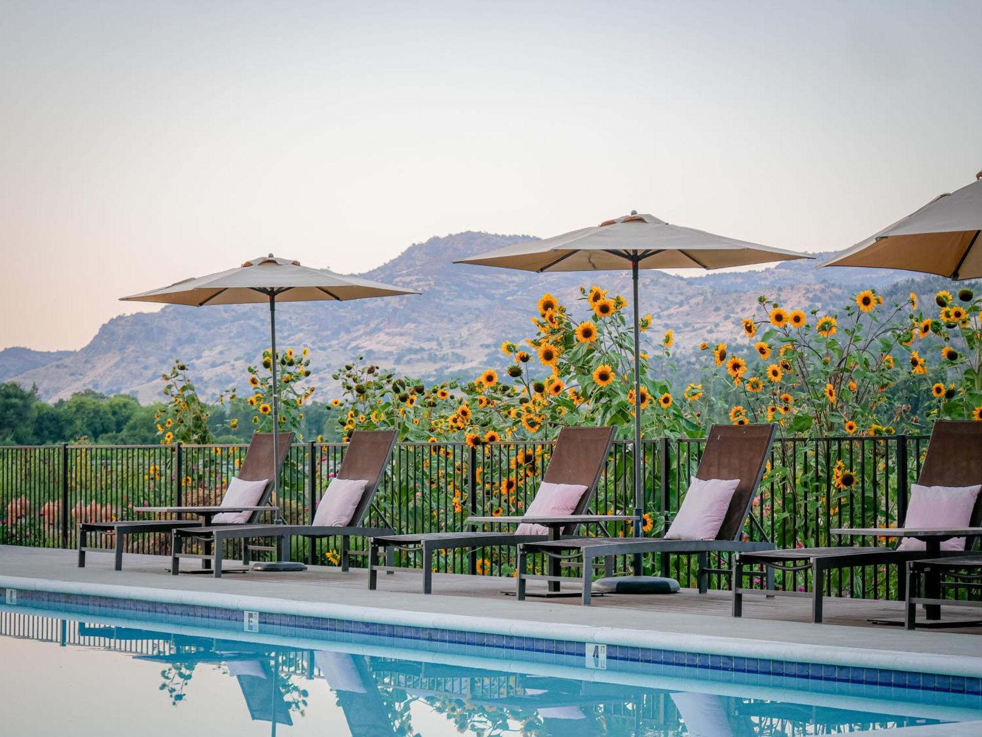 Bann At Oak Knoll Napa Bed & Breakfast ภายนอก รูปภาพ